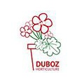 Duboz